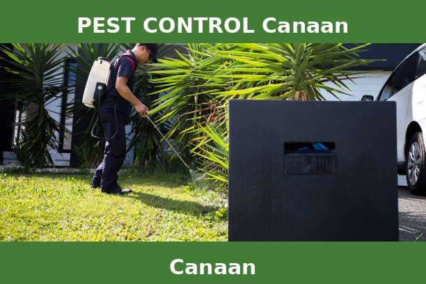 PEST CONTROL Canaan